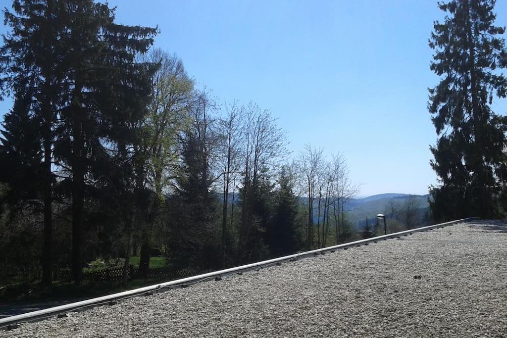 Appartement In Het Sportgebied Van Winterberg Eksteriør billede